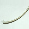Heater Band & Cartridge Heat Wire