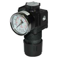 Air Pressure Regulator, 1/2" NPT With Gauge 100 Scfm (2832 Slpm).