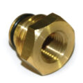 Hose Barb Adapter, 1/2″ Male BSPP