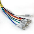 12′ Extension Cable with Mating Connector, 6 Pin