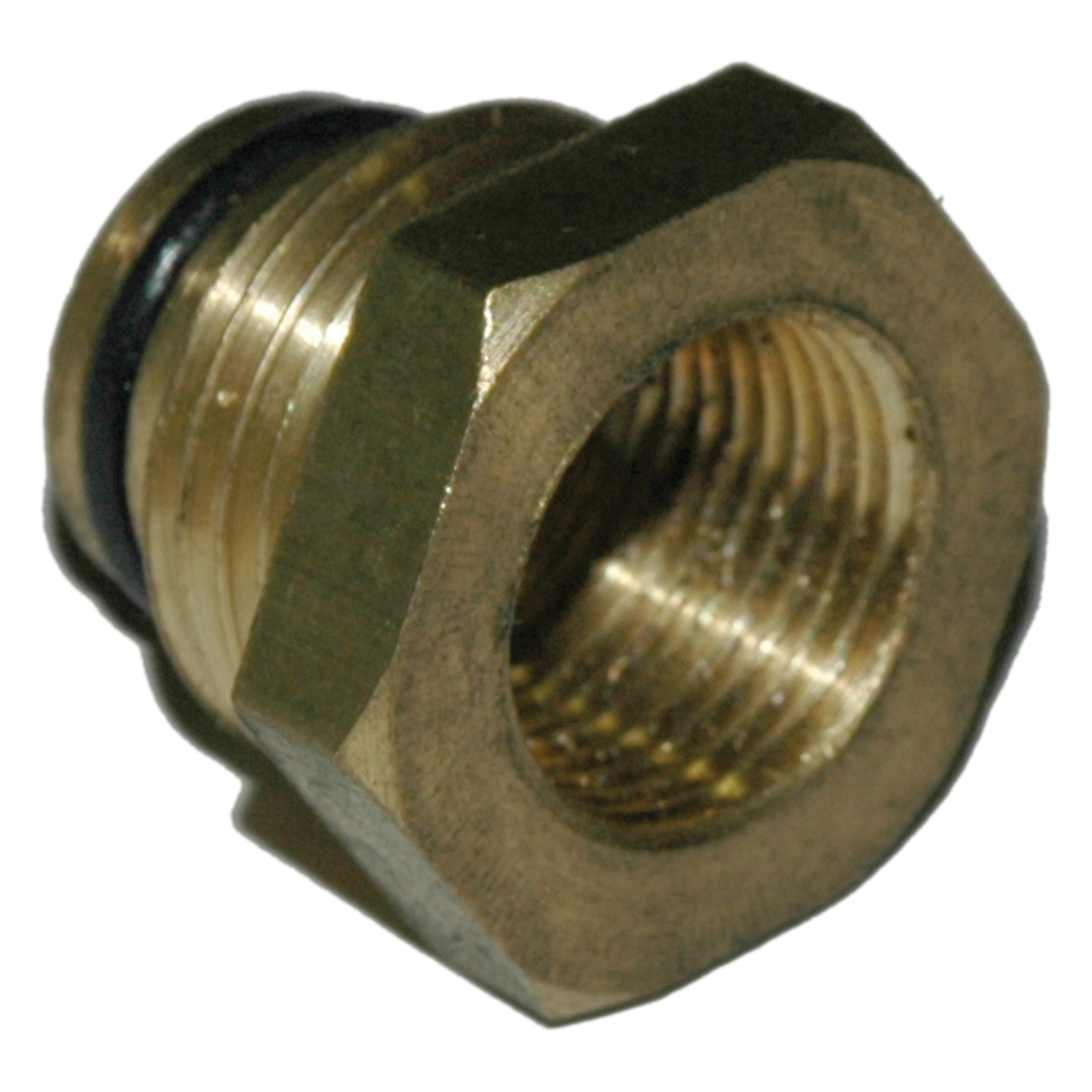 Hose Barb Adapter, 1/2" Male BSPP - Image 1